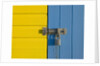 Padlock on beach hut door, Close-up, Littlehampton England by Assaf Frank